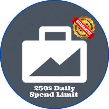 Business Manager 250$ Daily Spend Limit